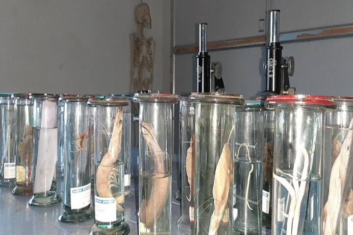 laboratory